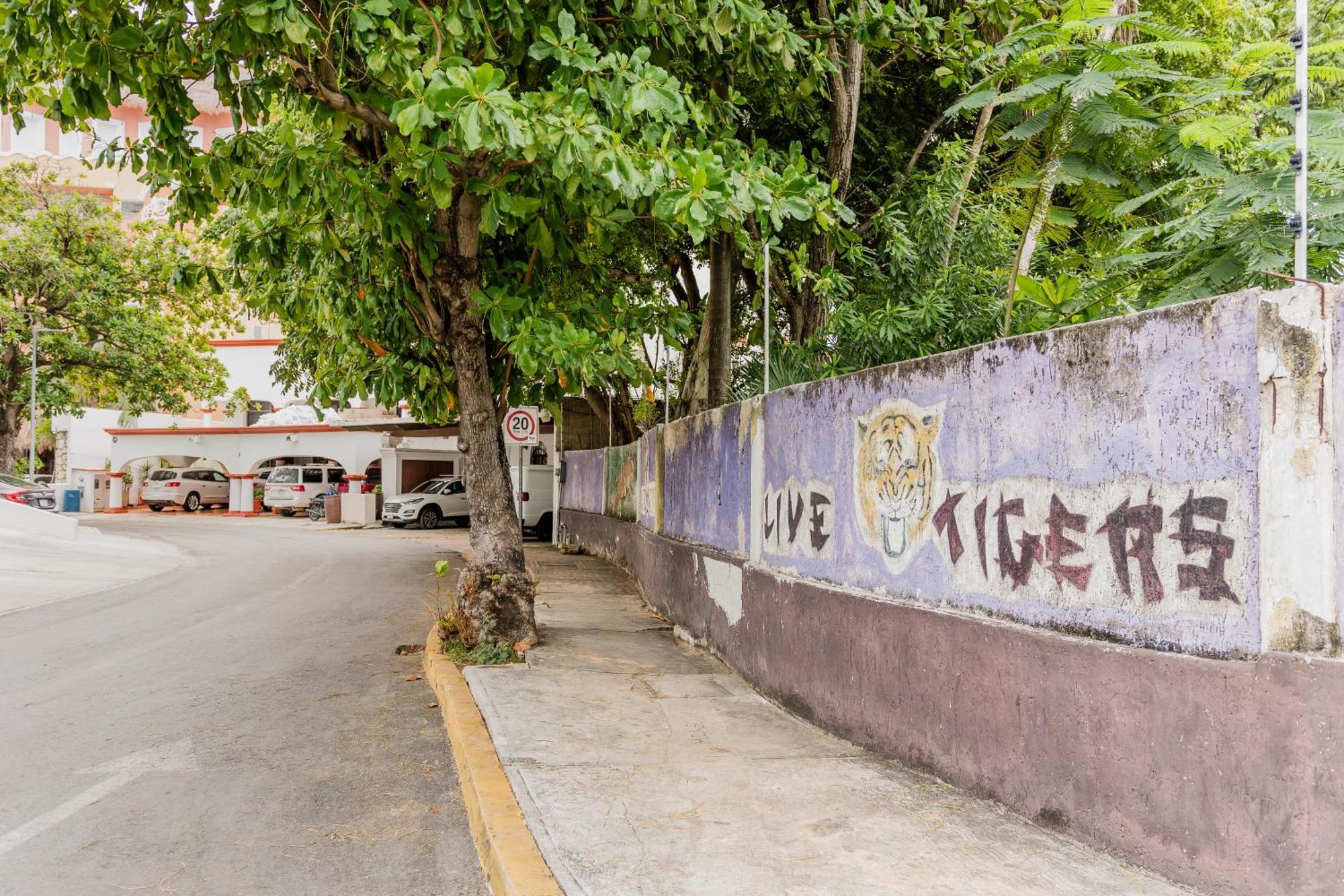 Seaak Cancun Rentals Exterior foto